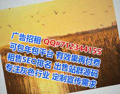 株洲借腹生子网络公司
